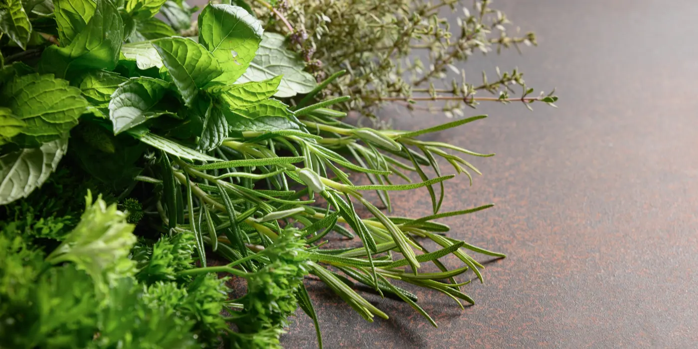 Vrtni kamini i roštilji i začinsko bilje