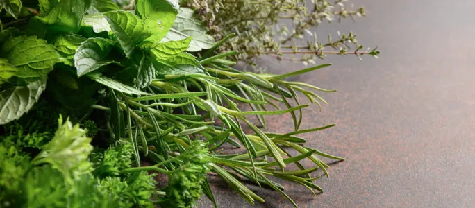 Vrtni kamini i roštilji i začinsko bilje