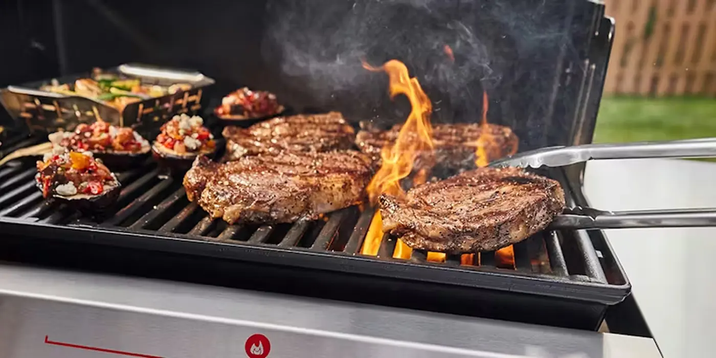 Vrtni kamini i roštilji za ovo proljeće