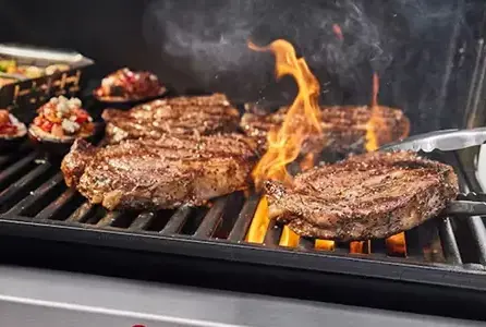 Vrtni kamini i roštilji za ovo proljeće