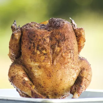 Dimljeno pivo piletina na limenki