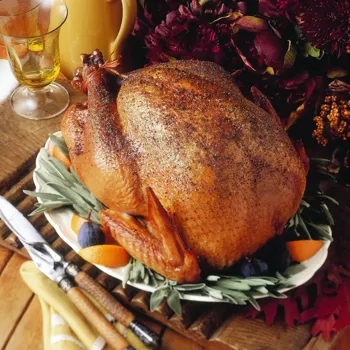 Purica na ražnju sa žalfijom, narančom i klinčićima