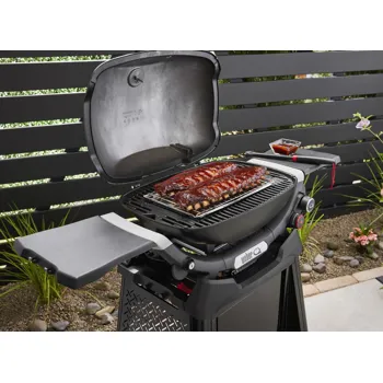 rostilj-weber-q2800n-plinski-55874-8550342.webp