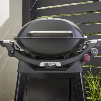 rostilj-weber-q3200n-plinski-30148-8550343.webp