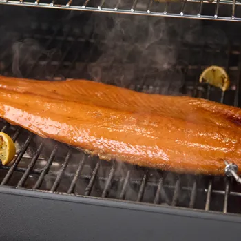 Sporo dimljeni losos